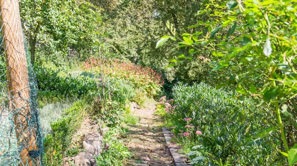 1770285765-21) wilde tuin (7)